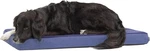 Orthopedic Bed With Memory Foam, Premium Comfort Dogs And Puppies,. Fixed Price $85.99.