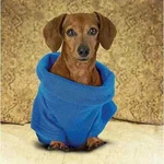 Snuggie Super Soft Fleece Blanket Coat For Dogs, Small. Fixed Price $15.99.