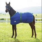 Weatherbeeta 420D Standard Neck Growing Foal Stable Blanket 180G Medium - 57. Fixed Price $64.00.
