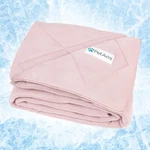 Pet Cooling Blanket Lightweight Nylon Summer Dog Bed Pad Cat. Fixed Price $34.99.