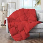 Puredown Soft Throw Blanket Lightweight Packable Couch For Indoor. Fixed Price $52.99.