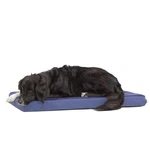 Barkbox Orthopedic Memory Foam Dog Bed, Joint Relief, Navy Large, Easyclean. Fixed Price $60.75.