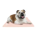 The Green Pet Shop Dog Cooling Mat Cover - Medium, Nude/pink Protect Your C.... Fixed Price $24.25.
