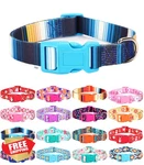 Moonpet Blue Stripe Bohemia Floral Dog Collar Xs Small Medium Puppy Girl. Fixed Price $20.00.