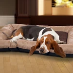 Dog Bed 43X29 Pet W/ Sherpa Sleep Surface Memory Foam Non-skid Bottom &. Fixed Price $38.86.