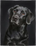 Black Blanket, Gorgeous Labrador Dog Print, Soft Fluffy Fleece Throw 50"X60". Fixed Price $45.90.