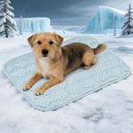 Reversible Mat Washable Bed Sofa Protector Pad For Small Puppy Dogs & Cats. Fixed Price $15.99.