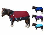 Derby Originals 600D Medium Reflective Waterproof Mini Horse Blanket 200G W/2WTY. Fixed Price $89.99.