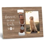 Pet Memorial Picture Frame With Collar Holder For Cats Dogs That Pass.... Fixed Price $26.17.