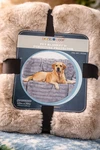 Brentwood Originals Oversized Waterproof Pet Blanket And Furniture Protector. Fixed Price $33.95.