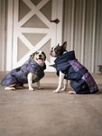 All Weather Dog Coat. Fixed Price $51.70.