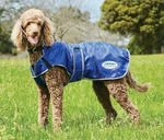 Weatherbeeta Comfitec Windbreaker Free Deluxe Dog Coat - Navy/grey/white. Fixed Price $38.95.