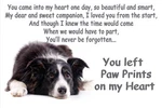 Border Collie Pet Loss Bereavement Gift Paw Prints On Heart Fridge Magnet. Fixed Price $8.09.