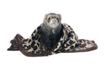 Small Pet, Marshall Designer Fleece Blanket For Animals (1 Count). Fixed Price $18.61.