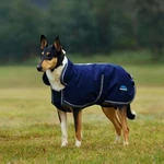 Weatherbeeta Comfitec 1200D Deluxe Waterproof Dog Coat. Fixed Price $49.99.