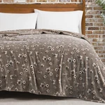 Daisy Beige Floral 90"X90" Cozy Plush Blanket - Premium Microfiber Throw For Lux. Fixed Price $180.99.