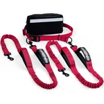 Hands Free Leash For 2 Dogs Waist Walking With Dual Bungee,. Fixed Price $39.32.