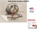 Digipups Havanese Dog Breed Akc Traits Cartoon Sherpa Fleece Blanket. Fixed Price $58.95.