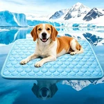Dgdgbaby Cooling Mat For Dogs, Arcchill Qmax 0.45, Nonslip Wa.... Fixed Price $44.26.