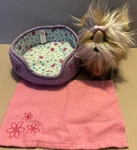 American Girl Doll Sweet Dreams Reversible Pet Bed, Pink Blanket And Dog Sugar. Fixed Price $18.00.