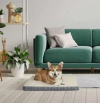 Vibrant Life Orthopedic Foam Dog Bed, Gray, Medium 29" X 20". Fixed Price $19.99.
