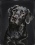 Hommomh Black Blanket, Gorgeous Labrador Dog Print, Soft Fluffy Fleece Throw. Fixed Price $41.71.