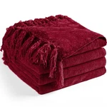 Chenille Throw Blanket 60X80 Twin Couch Bed Sofa Chair Soft Cozy Fringe Tassels. Fixed Price $61.26.
