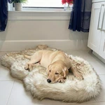 Bed Orthopedic Memory Foam Waterproof Washable 40 X25 White Brown Ihappydog. Fixed Price $179.99.