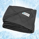 Pet Cooling Blanket Nylon Pad Light Dog Cat Puppy For Summer Sleeping Bed. Fixed Price $34.99.