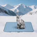 Soulbond Cooling Mat For Small Dogs - 25" X 35" Washable Cats.... Fixed Price $35.43.
