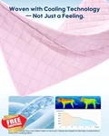 Kasbah 56X82 Inch Dog Cooling Blanket Mat Waterproof Reversible. Fixed Price $70.99.