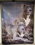 American Bully Terrier Dog Queen Size Blanket. Fixed Price $58.69.