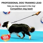 Beaugo Dog Slip Lead Training Rope No Pull Leash 4.6 Ft. Fixed Price $34.99.